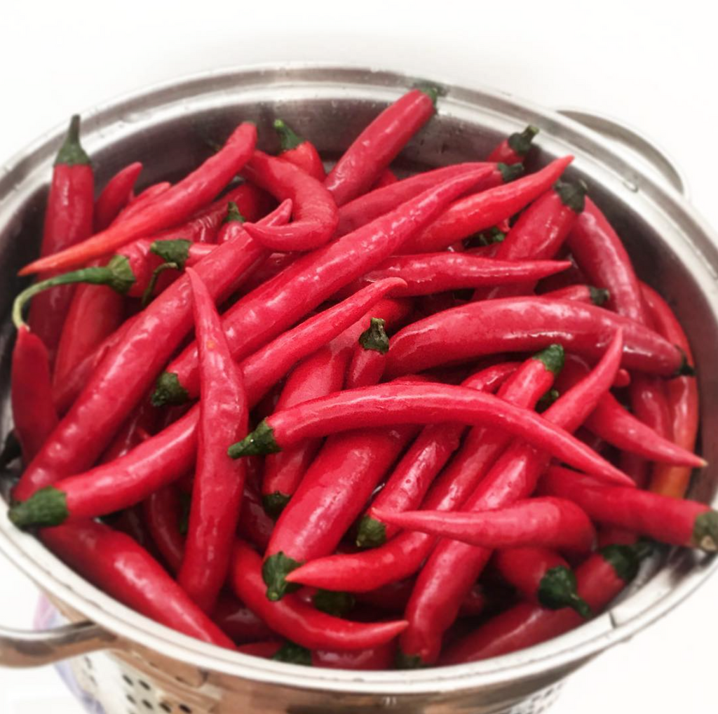 Chillies  ... FIRE TONIC ® ingredient #4