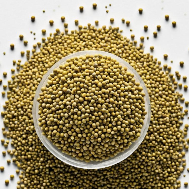 Mustard Seed ... FiRE TONiC™ ingredient #16