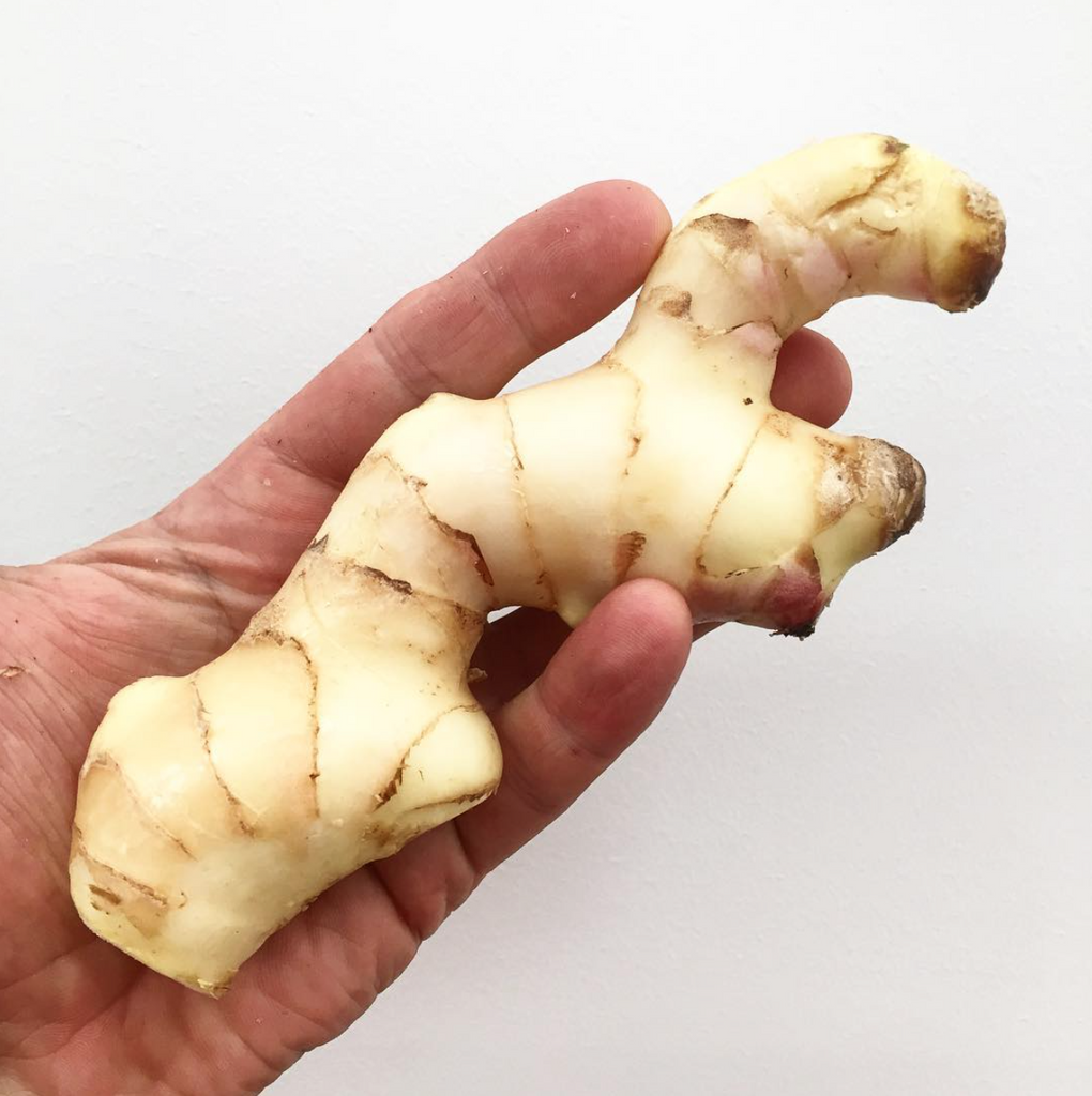 Ginger  ... FIRE TONIC ® ingredient #5